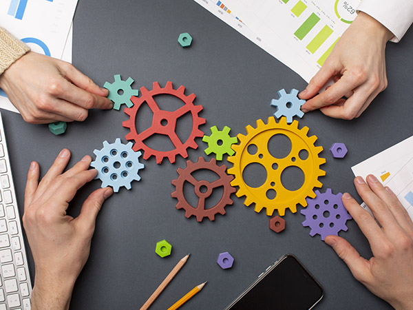 Compétences transversales (facultatif)